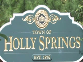 holly springs senior care